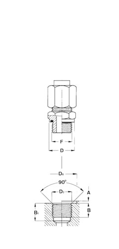 FLUID POWER CONNECTORS - HOSE ASSEMBLIES - FOR FITTINGS - ISO 1179