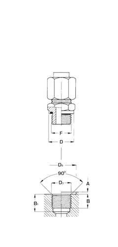 dimSediFilettate-ISO9974-dett2