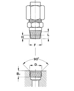 dimSediFilettate-ISO7-dett